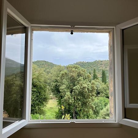 Appartement Soveria Eksteriør bilde
